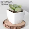 Bonsai Artificial Carnudo Flores Artificiais de Plástico Combinação Planta Verde para Interior Escritório Mesa Pequenos Enfeites Plantas Artificiais Atacado