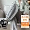 Calça Esportiva Cinza Fina para Mulheres, Calça de Algodão Grossa para Primavera e Outono, Calça Harem Cenoura Solta, Calça Jogger Casual para Baixinhas