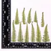 Hojas Secas Especímenes de Plantas Hojas Reales Pegatinas DIY Libro Hecho a Mano para Jardín de Infantes Marcadores de Libros Lámpara de Mesa Vela Marco de Fotos con Flores Secas