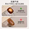 Ferramenta de Nail Art Similar ao Estilo de Xiao a Niang, Pontas de Unha Acrílicas Transparentes Grandes Não Magnéticas, Ferramenta de Loja de Nail Art para Prática Cat Eye