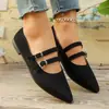 Zapatos planos de verano para mujer, talla grande, transfronterizos 2025, de gamuza, punta fina, moda, importación, tipo slip-on, con estampado de leopardo