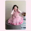 Roupa Infantil Conjunto para Meninas Suéter Tricô Colete Cartoon com Vestido de Renda Vestido Princesa 26 Outono Inverno Novo