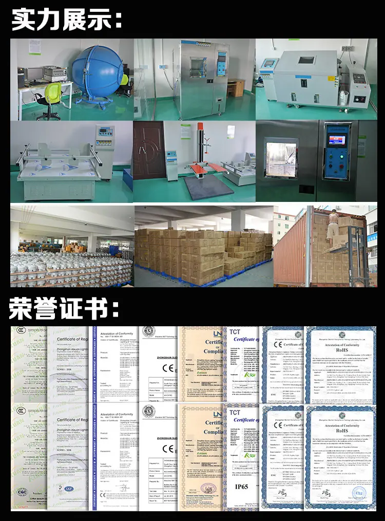 公司实力