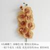 Estilo Europeo Phalaenopsis de 8 Cabezas Retro Flores Artificiales Flores de Seda Adornos de Flores Falsas Boda Decoración de Boda Decoración del Hogar Fabricante Venta al por Mayor
