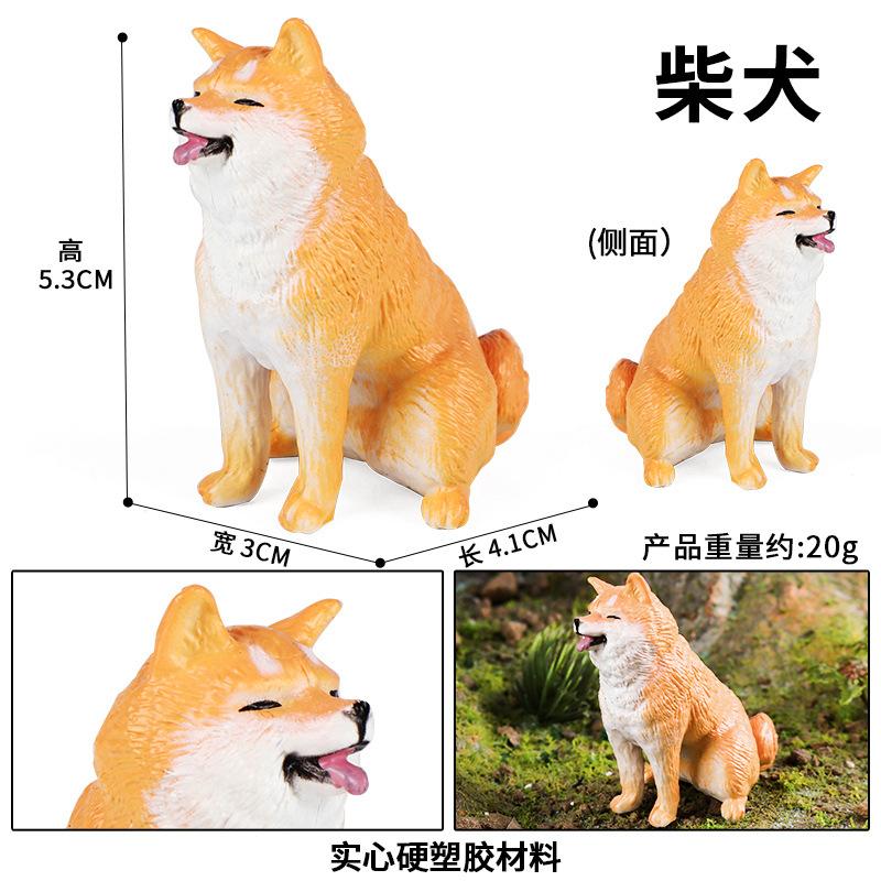 柴犬