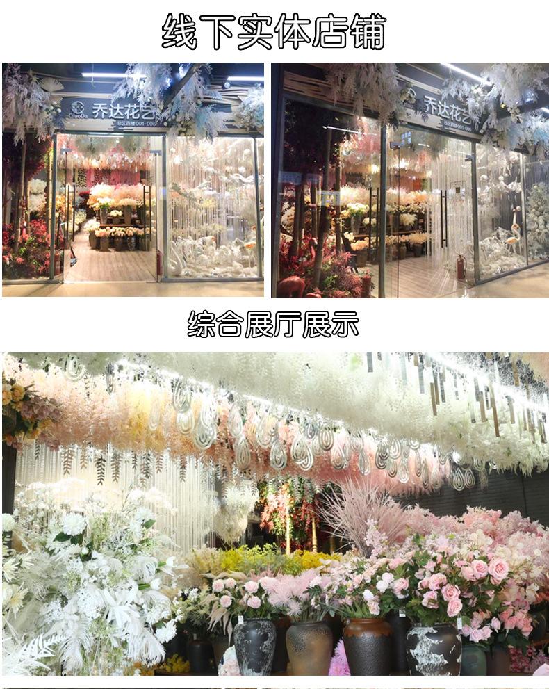 橄榄枝_11.jpg