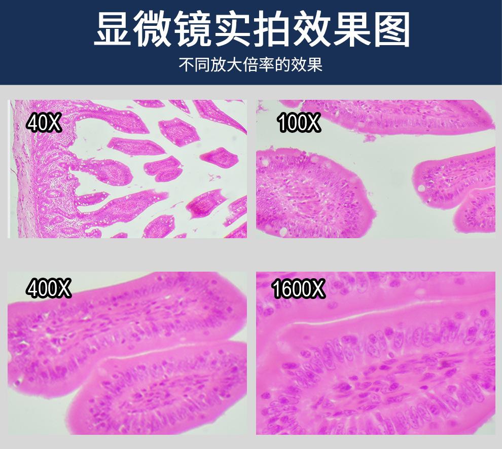 详情11.jpg