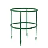 Soporte para Flores de Orquídea Pinza de Cangrejo Soporte para Plantas Trepadoras Estaca de Soporte para Flores de Jardín Herramienta para Jardín y Bonsái Soporte Semicírculo