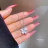 [Acero de Titanio] Lujo Ligero Micro-incrustado Oro Real Ojo de Gato Trébol de Cuatro Hojas Collar para Mujer Nueva Cadena de Arco Sentido de Diseño de Nicho de Lujo Ligero