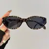 Óculos de Sol Estilo Coreano Coco Espelhado Cat-Eye 2025 Novo Modelo Óculos de Sol de Alta Qualidade com Proteção UV Óculos de Sol Xiaohongshu
