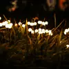 Lámpara de Luciérnaga Solar LED Lámpara de Jardín Exterior Impermeable Lámpara Simple de Atmósfera de Jardín Linterna Decorativa Lámpara de Fuegos Artificiales