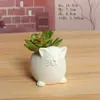Maceta de Cerámica con Esmalte de Copo de Nieve para Plantas Suculentas Estilo Europeo Dibujos Animados Simple Maceta de Animales para Plantar Suculentas 0442