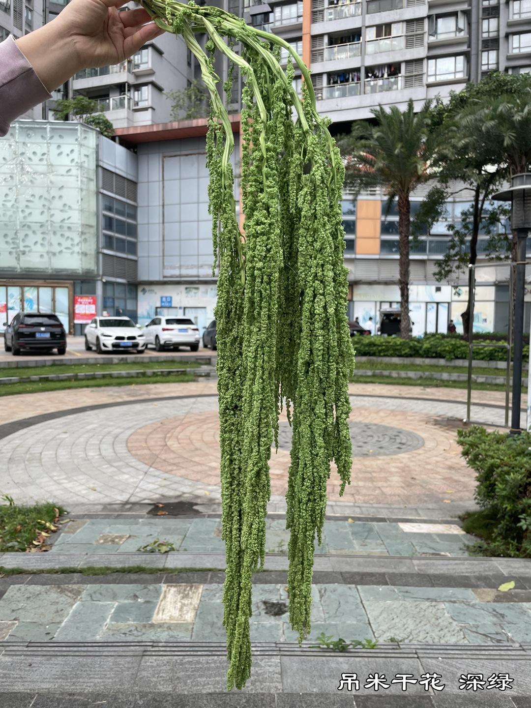 微信图片_20220502122001.jpg