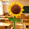Producto Terminado Obtiene el Primer Lugar Hilo de Hielo Gigante Crochet Hecho a Mano Girasol Rosa Temporada Creativa de Graduación Regalo del Día del Maestro