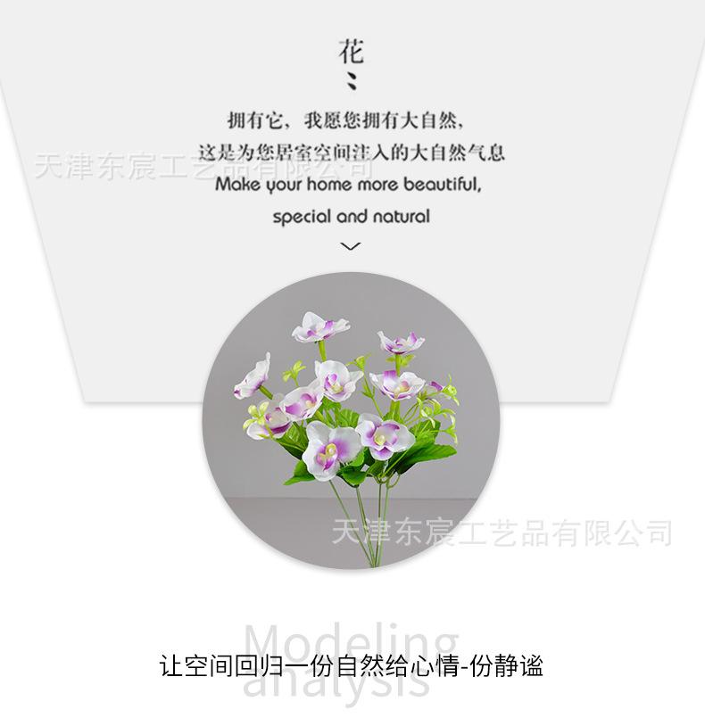 详情_06.png