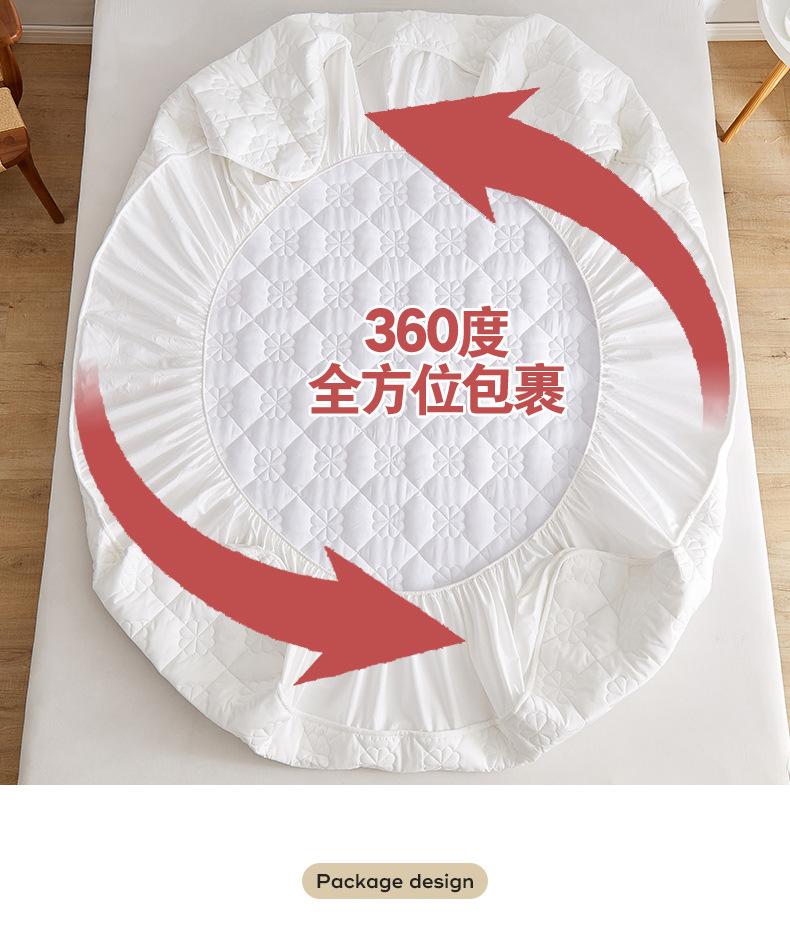 香槟金_10.jpg