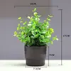 Nova Planta Artificial Pequena em Vaso Decoração de Mesa para Casa Sala de Estar Planta Verde Entrada de Sala Pública Decoração de Armário de Vinho Pequenos Enfeites
