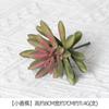 Planta Suculenta Simulada Planta Bonsái Flocado Mini Artificial Falsa Suculenta Accesorios Planta Verde DIY Adornos para Decoración del Hogar