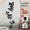 Planta Artificial Verde Grande Black Diamond Árbol de Goma Planta en Maceta de Interior para Sala de Estar Decoración de Planta de Árbol Imitación de Lujo Ligero de Gama Alta