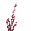 Simulación alta Acebo Navidad fruta simulación alta Frijol de acacia fabricantes suministran flores artificiales para boda Fruta roja rica en bayas