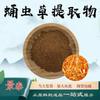 Extrato de Cordyceps Militaris 10:1 Pó de Cordyceps Militaris Matéria-Prima para Cuidados com a Saúde Grau Alimentício Pó de Extrato Finamente Concentrado em Estoque