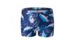 Bañador para niños, bañador para niños, gorro de baño, ángulo plano, secado rápido, nuevo estilo, pantalones cortos de baño para niños grandes.