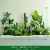 Combinação de Paisagismo com Plantas Verdes Simuladas, Decoração de Paisagem com Plantas Artificiais para Vitrine, Enfeite de Canto de Escada, Paisagismo de Escada