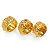 Anillo de Nuevo Estilo Lujo Ligero Nicho Textura Irregular Incrustado con Circonita para Mujer, Acero de Titanio Tendencia Hip-Hop Personalizado Joyería de Oro de 18K