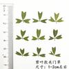 Espécimen de Planta de Pasto de Puerta Cerrada Flor Seca Hoja Arbustos Lámpara de Mesa Paquete de Material para Marcapáginas Hoja Real Flor Real Pegatina diy