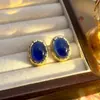 Brincos Geométricos Azul Klein Agulha de Prata Femininos Pequenos Irregulares Temperamento Moda Brincos de Alto Nível Atacado