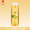 Shampoo e Condicionador Flor de Abelha, Fortalecimento Capilar com Gengibre, Uso Doméstico, Acessível, Fragrância Duradoura, Suave e Reparador, Mesmo Modelo dos Supermercados, Produto Genuíno