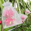 Cubierta para Frutas, Malla Anti-Pájaros, Uva a Prueba de Insectos, Protección para Duraznos, Fresas, Plantación de Granadas, Cubierta Anti-Insectos para Huerto de Peras