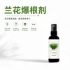 Agente Estimulante de Raízes para Orquídeas, Solução Nutritiva para Orquídeas Phalaenopsis, Promove a Brotação, Estimula a Floração, Fortalece as Raízes, Promove o Crescimento das Raízes e Fortalece as Mudas e Folhas