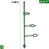 Suporte para Monstera Alocasia Ramo de Horticultura Suporte Fixador Suporte de Suporte para Plantas Muda Planta Verde Jardim Verdejante Trepadeira