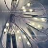 Fuente de luz LED OSRAM, módulo de inyección de 2 lámparas, baja presión, 12 V, ultrabrillante, para publicidad, 3 años de garantía.