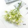 5 garfo ruixiang gypsophila pacote cross-border cor margarida janela da casa arranjo de flores suaves salão de casamento segurando flores
