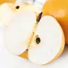Pera Qiuyue de Laiyang, Shandong, envio direto 3/5/ 4,5kg unidades, redonda, suculenta, crocante e doce, caixa de presente, embalagem colorida, fruta fresca