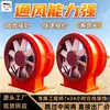 Ventilador Axial para Extração de Mina com Forte Potência de Vento Fkcz Nº 12/30 Ventilador Axial para Extração de Mina