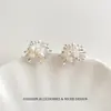 Pendientes de Cristal Perla con Fuegos Artificiales Espectaculares, Microincrustaciones de Circonita, Lujo Ligero, Súper Brillantes, para Mujer, de Alta Gama, Exquisitos, de Moda, Versátiles