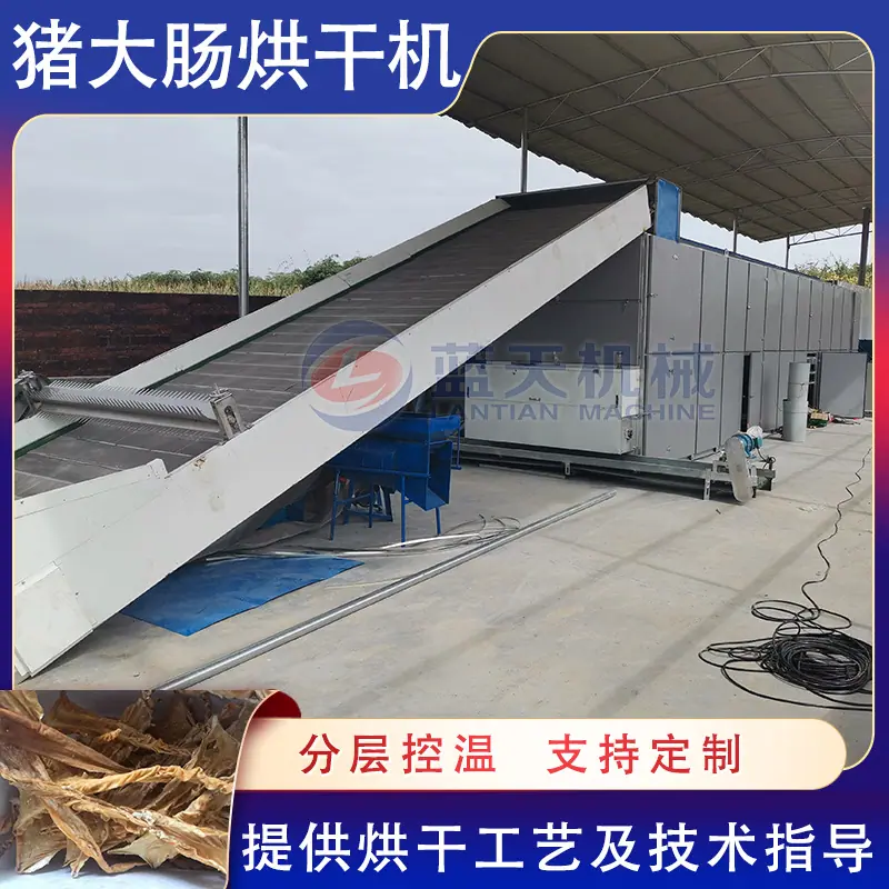 阿里.jpg