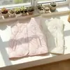 Nuevo Conjunto de Tres Piezas para Niñas Otoño/Invierno 2026: Chaleco con Bordado de Conejo, Sudadera con Capucha y Pantalones de Chándal de Color Sólido