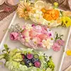 Caja de Pastel de Frutas para Picnic de Primavera, Caja Desechable para Postre Mousse con Corte de Frutas, Caja de Empaque para Dulces y Té de la Tarde