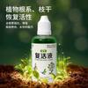 El Líquido de Resurrección para Plantas y Flores está especialmente diseñado para postes de luz de plantas que se ponen amarillos y pierden hojas. Es un Líquido de Enraizamiento Activo de Crecimiento Rápido para Fortalecer Plántulas