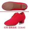 Zapatos de Baile Latino para Mujer, Tacones Altos, Zapatos de Baile para Adultos de Cuatro Estaciones, Especial para Profesores, Práctica, Sociales, Estándar Nacional, Zapatos de Baile de Tela Oxford