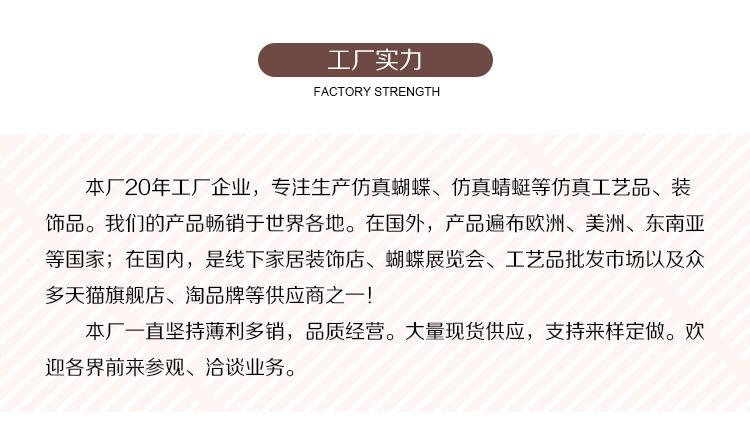 PT16公分-详情_13.jpg