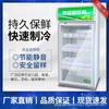 Gabinete Refrigerado Conservador de Frescura para Muestras de Alimentos de Jardín de Niños con Cerradura Comedor de Restaurante Hogar Mini Refrigerador Gabinete Comercial de Exhibición de Muestras