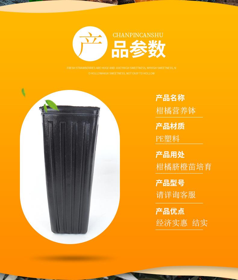 详情_02.jpg