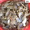Venda direta da fábrica de peças de ágata de várias cores, tamanho pequeno, peças para carrilhão de vento, pingentes de ágata, peças com paisagem, Fábrica de Gemas de Huizhou
