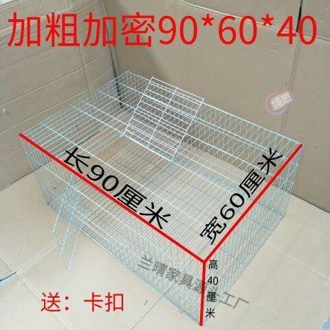 61e5170e-7cce-4fe1-9a6a-9822ec0ae2f4.jpg