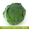 Adereços de educação infantil por atacado, adereços de estúdio para filmagem, enfeites de janela, repolho falso, rabanete, modelo de vegetal falso, simulação de vegetais
